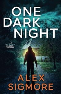 Produktbild: One Dark Night