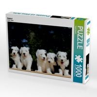 Produktbild: CALVENDO Puzzle Bobtail | 1000 Teile Lege-Gr&ouml;&szlig;e 64x48cm Foto-Puzzle f&uuml;r gl&uuml;ckliche Stunden