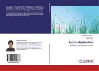 Produktbild: Typha elephantina
