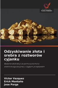 Produktbild: Odzyskiwanie z&iquest;ota i srebra z roztwor&oacute;w cyjanku