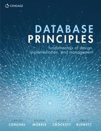 Produktbild: Database Principles