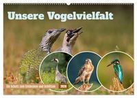 Produktbild: Unsere Vogelvielfalt: Ein Schatz zum Entdecken und Sch&uuml;tzen (Wandkalender 2026 DIN A2 quer), CALVENDO Monatskalender