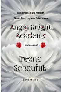 Produktbild: Angel Knight Academy 2 Himmelsstaub