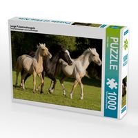 Produktbild: CALVENDO Puzzle junge Palominohengste | 1000 Teile Lege-Gr&ouml;&szlig;e 64x48cm Foto-Puzzle f&uuml;r gl&uuml;ckliche Stunden