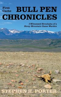Produktbild: Bull Pen Chronicles