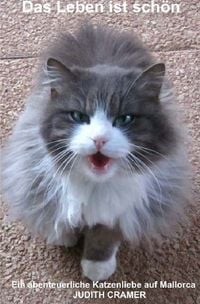 Produktbild: Das Leben ist sch&ouml;n: Eine abenteuerliche Katzenliebe auf Mallorca
