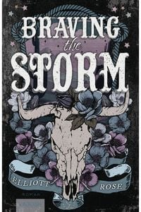 Produktbild: Braving the Storm