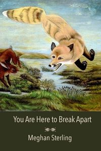 Produktbild: You Are Here to Break Apart