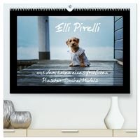 Produktbild: Elli Pirelli... aus dem Leben eines fr&ouml;hlichen Pinscher-Dackel-M&auml;dels (hochwertiger Premium Wandkalender 2027 DIN A2 quer), Kunstdruck in Hochglanz