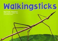 Produktbild: Walkingsticks