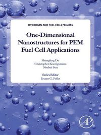 Produktbild: One-dimensional Nanostructures for PEM Fuel Cell Applications