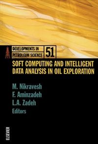Produktbild: Soft Computing and Intelligent Data Analysis in Oil Exploration