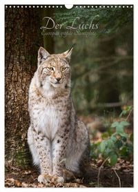 Produktbild: Der Luchs - Europas gr&ouml;&szlig;te Samtpfote (Wandkalender 2027 DIN A3 hoch), CALVENDO Monatskalender