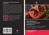 Produktbild: Marcottage em Pomegranate(Punica granatum L.)