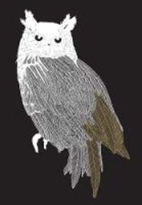 Produktbild: Bb-Brave Birds Notebk (paperba