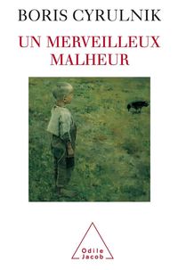 Produktbild: Un merveilleux malheur
