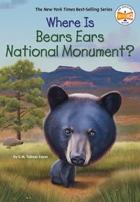 Produktbild: Where Is Bears Ears National Monument?