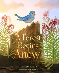 Produktbild: A Forest Begins Anew