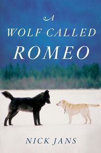 Produktbild: Wolf Called Romeo