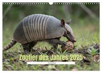 Produktbild: Zootier des Jahres 2025 - G&uuml;rteltier (Wandkalender 2026 DIN A3 quer), CALVENDO Monatskalender