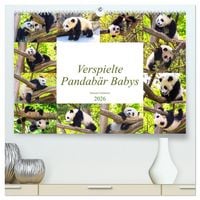 Produktbild: Pandab&auml;r Babys (hochwertiger Premium Wandkalender 2026 DIN A2 quer), Kunstdruck in Hochglanz