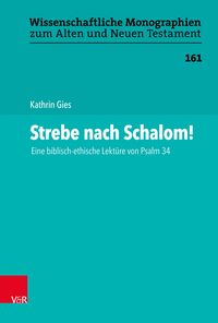 Produktbild: Strebe nach Schalom!