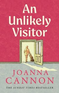 Produktbild: UNLIKELY VISITOR EXAIIE PB