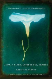 Produktbild: Day a Night Another Day Summer