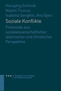 Produktbild: Soziale Konflikte