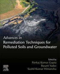 Produktbild: Advances in Remediation Techniques for Polluted Soils and Gr