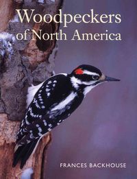 Produktbild: Woodpeckers of North America