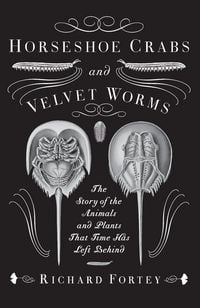 Produktbild: Horseshoe Crabs and Velvet Worms