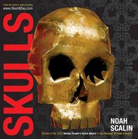 Produktbild: Skulls