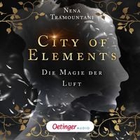 Produktbild: City of Elements 3. Die Magie der Luft