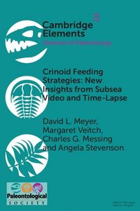 Produktbild: Crinoid Feeding Strategies: New Insights From Subsea Video And Time-Lapse