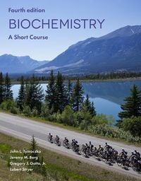 Bild vom Artikel Biochemistry: A Short Course vom Autor John L. Tymoczko
