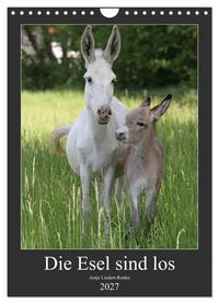 Produktbild: Die Esel sind los (Wandkalender 2027 DIN A4 hoch), CALVENDO Monatskalender