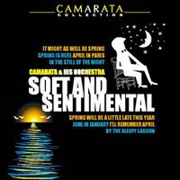 Bild vom Artikel Soft & Sentimental vom Autor Tutti Camarata