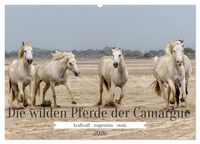 Produktbild: Die wilden Pferde der Camargue (Wandkalender 2026 DIN A2 quer), CALVENDO Monatskalender