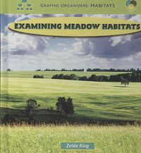 Produktbild: Examining Meadow Habitats