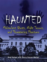 Produktbild: Haunted