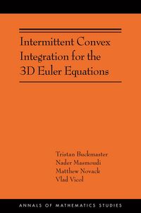 Produktbild: Intermittent Convex Integration for the 3D Euler Equations