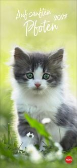 Produktbild Katzen slim - Auf sanften Pfoten Kalender 2027