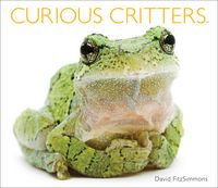 Produktbild: Fitzsimmons, D: Curious Critters Volume Two