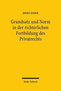 Produktbild: Grundsatz und Norm in der richterlichen Fortbildung des Privatrechts