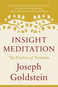 Produktbild: Insight Meditation