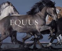 Produktbild: Flach, T: Equus (Mini)