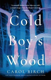 Produktbild: Cold Boy's Wood