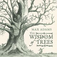 Produktbild: Adams, M: Wisdom of Trees