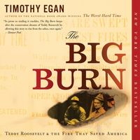 Produktbild: The Big Burn